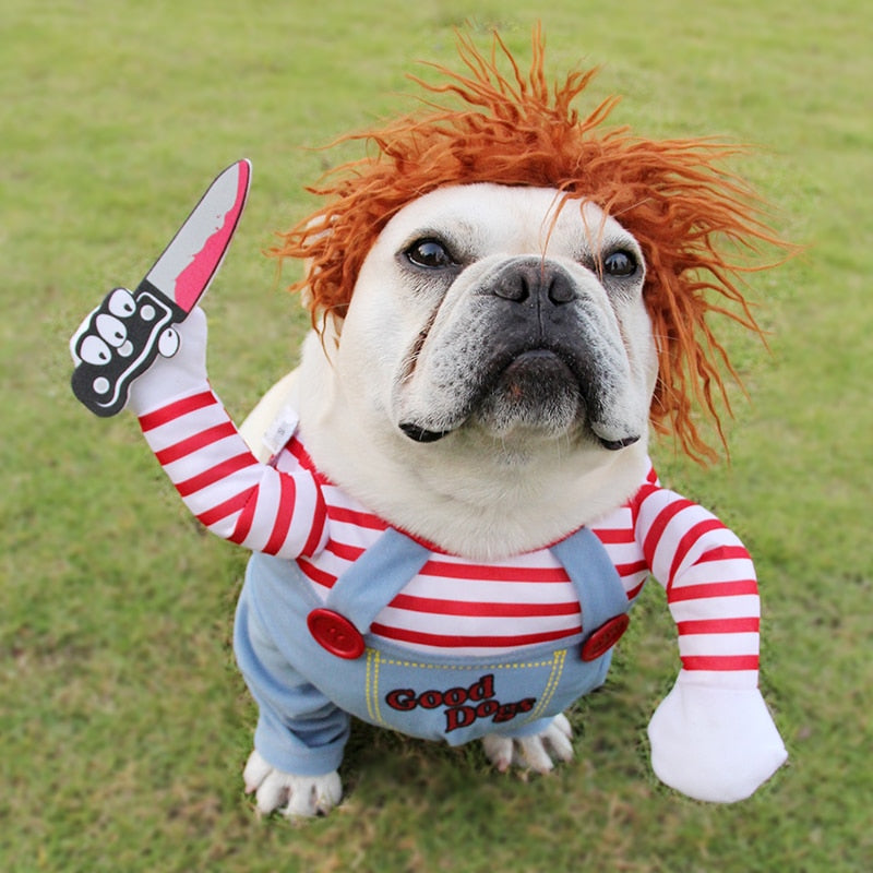 🔪 Chucky Costume for Pets